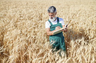 Männlicher Landwirt, der in ein Buch schreibt, während er an einem sonnigen Tag den Weizen untersucht - KIJF04125