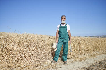 Male farm worker standing with hat and hoe at wheat field during sunny day - KIJF04128