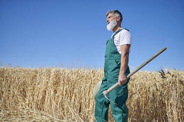 Bärtiger männlicher Landarbeiter schaut weg, während er eine Hacke auf einem Weizenfeld an einem sonnigen Tag hält - KIJF04130