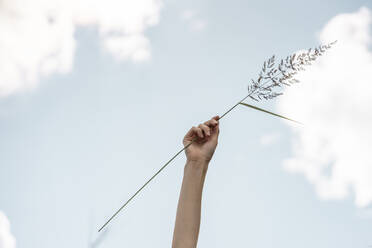 Woman holding leaf - VPIF04584