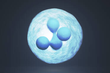 Dreidimensionale Darstellung der Mitose von blau gefärbten Zellen - SPCF01553