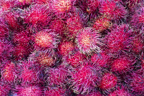 Rambutan-Frucht auf dem Lebensmittelmarkt, Yangon, Myanmar - MINF16364