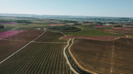 Aerial panorama of vast fields and orchards in spring - OCAF00690