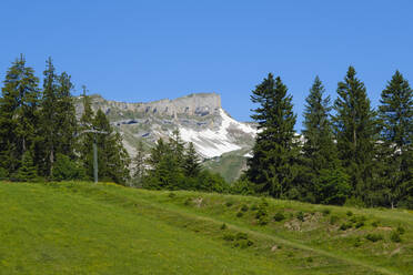 Der Berg Hoher Ifen im Sommer - WIF04430