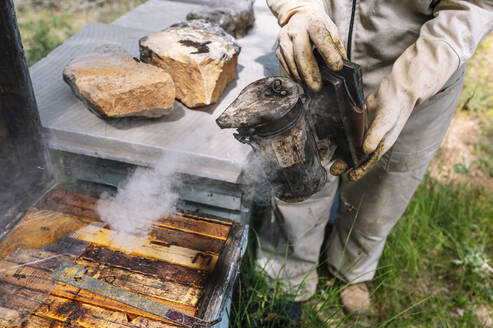 Imkerin bei der Verwendung eines Bienenräuchergeräts an Bienenstöcken in einem Kasten auf einem Bauernhof - JCMF02202