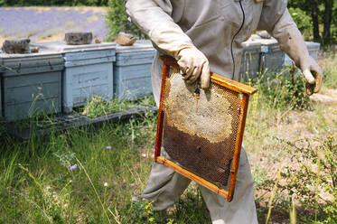 Imkerin mit Bienenstock auf einem Bauernhof - JCMF02204