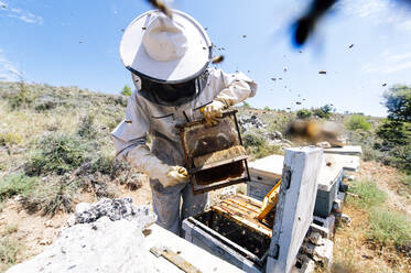 Männlicher Imker beim Putzen des Bienenstocks auf einem Bauernhof an einem sonnigen Tag - JCMF02216