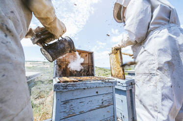 Eine Imkerin hält einen Bienensmoker in der Hand, während ein männlicher Mitarbeiter einen Bienenstock auf einem Bauernhof entfernt - JCMF02217