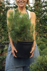 Female agriculture expert carrying potted plant while standing at greenhouse - VPIF04640