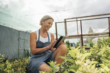 Weibliche Gewächshausarbeiterin benutzt ein digitales Tablet, während sie in einer Gärtnerei hockt - VPIF04651