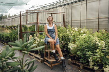 Smiling female farmer sitting on wooden plant rack at greenhouse - VPIF04652
