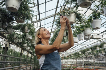 Smiling female farmer photographing plants through mobile phone in greenhouse - VPIF04657