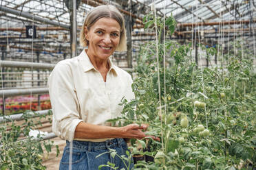 Lächelnde Bäuerin bei der Kontrolle von Gemüsepflanzen im Gewächshaus - VPIF04686