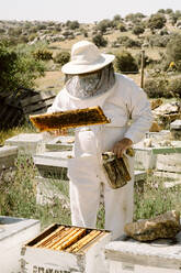 Unbekannter Imker in Schutzkleidung mit Metallraucher, der gerahmte Honigwaben in der Nähe des Bienenstocks an einem Sommertag in einem Bienenhaus untersucht - ADSF29124