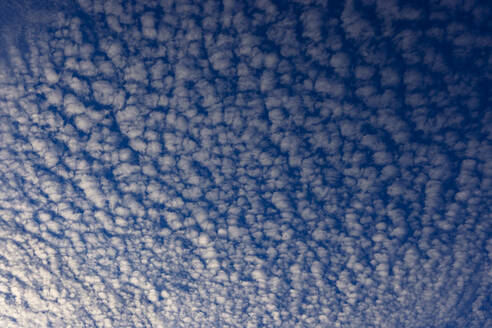 Wolkenlandschaft aus Altocumuluswolken in der Abenddämmerung - WWF05769