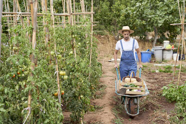 Male farm worker walking with wheelbarrow at agricultural field - VEGF04899