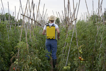 Landarbeiter bei der Arbeit auf einem landwirtschaftlichen Feld mit einer Pflanzenschutzspritze - VEGF04935