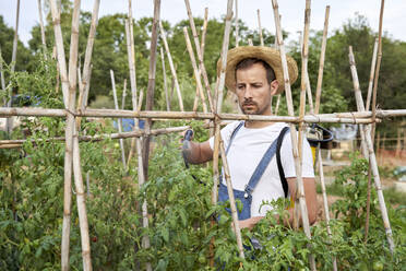 Männlicher Landwirt beim Sprühen von Pestiziden auf Pflanzen bei der Arbeit auf einem landwirtschaftlichen Feld - VEGF04936