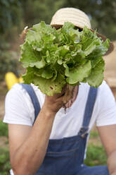 Männlicher Landarbeiter bedeckt sein Gesicht mit grünem Salat auf einem landwirtschaftlichen Feld - VEGF04942