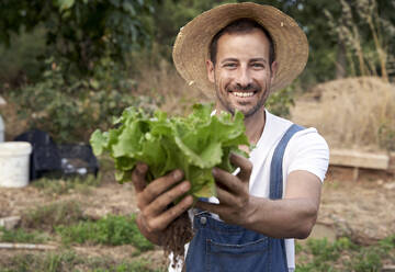 Glücklicher männlicher Landarbeiter mit Hut, der frischen grünen Salat anbietet - VEGF04944
