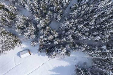 Drone view of lone hut standing at edge of snow-covered spruce forest - WWF05773
