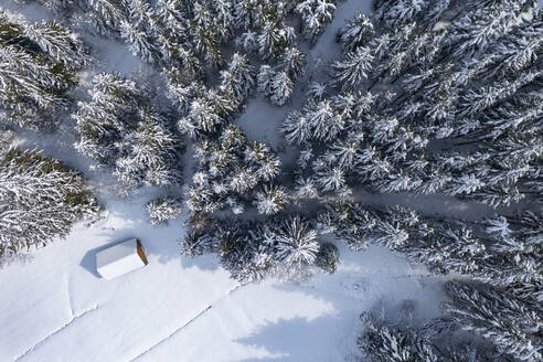 Drohnenansicht einer einsamen Hütte am Rande eines schneebedeckten Fichtenwaldes - WWF05773