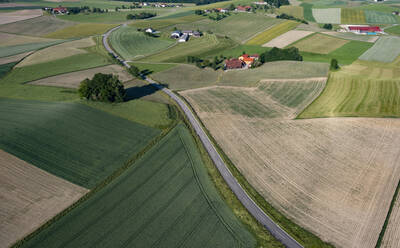 Austria, Upper Austria, Waldzell, Drone view of country road stretching between countryside fields in summer - WWF05783