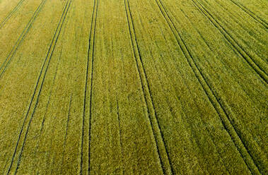 Drone view of tire tracks stretching across green countryside field in summer - WWF05787