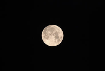 Der Vollmond leuchtet am klaren Nachthimmel - JTF01923