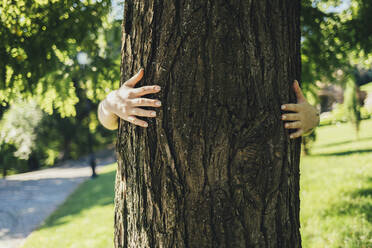 Young woman hugging tree at park - OYF00486