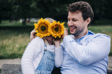 Lächelnder Mann bedeckt das Gesicht eines Mädchens mit Sonnenblumen, während er auf einer Bank sitzt - ASGF01296