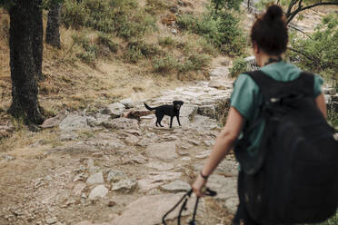 Dog and woman walking in forest during weekend - MRRF01414