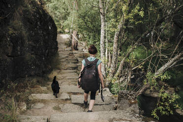 Mittlere erwachsene Frau und Hund beim Spaziergang auf einem Wanderweg im Wald - MRRF01423