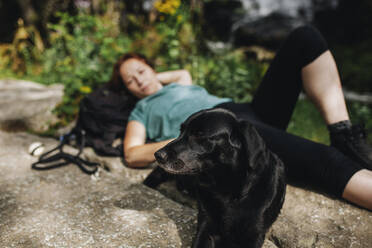 Black dog lying with female pet owner on sunny day - MRRF01428