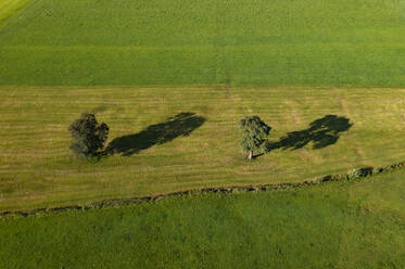 Drone view of green countryside field in summer - WWF05806