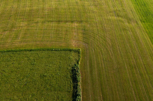 Drone view of green harvested field in summer - WWF05807