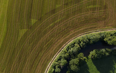 Drone view of green harvested field in summer - WWF05809