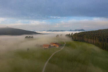 Drone view of countryside landscape shrouded in thick morning fog - WWF05810