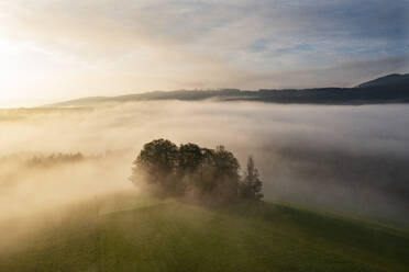 Drohnenansicht der in dichten Nebel gehüllten Landschaft bei Sonnenaufgang - WWF05812