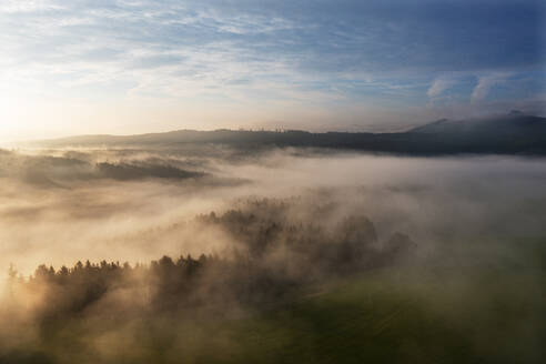 Drohnenansicht eines in dichten Nebel gehüllten Fichtenwaldes bei Sonnenaufgang - WWF05813