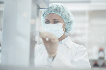 Female pharmacist with protective face mask working in pharmacy - JOSEF05391