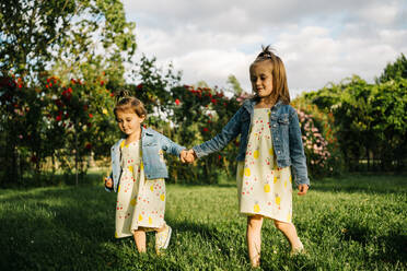 Cute little girls in dress and denim jacket standing on green grass against blossoming bush with red flowers in summer park while holding hands - ADSF29382