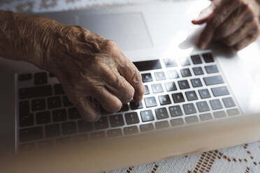 Senior woman learning laptop at home - JCCMF03779