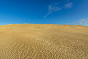 Gekräuselte Düne im Lincoln-Nationalpark - TOVF00256