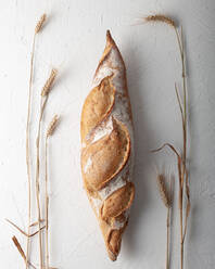 Top view composition of delicious freshly baked rustic artisan baguette placed on white surface with dried wheat spikes - ADSF29439