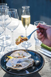 Delicious and well decorated oyster's dish paired with champagne at outdoor high cuisine restaurant - ADSF29466