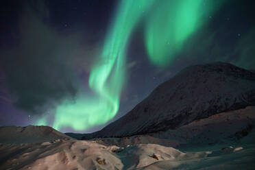 Spektakuläre grüne und rosa Nordlichter in Tromso - ADSF29489