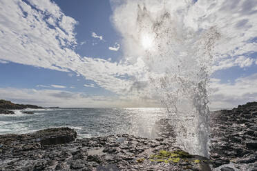 Little Blowhole spraying against sky - FOF12161