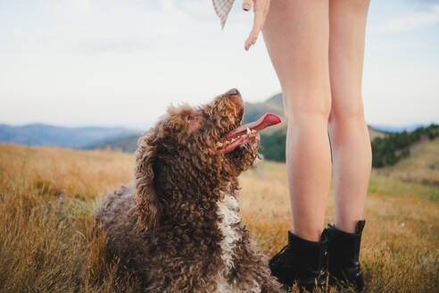 Abgeschnittene, nicht erkennbare Besitzerin beim Spaziergang mit gehorsamem Labradoodle-Hund in den Bergen - ADSF29535