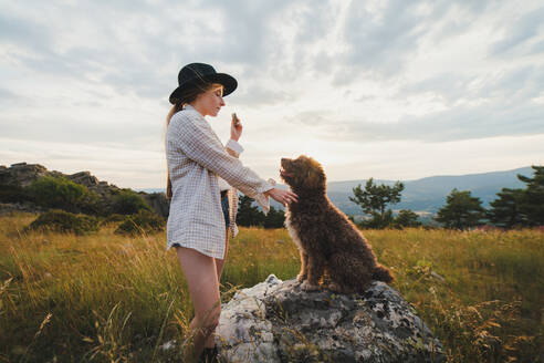 Seitenansicht einer Besitzerin mit einem gehorsamen Labradoodle-Hund, der auf einem Felsen in den Bergen sitzt - ADSF29537